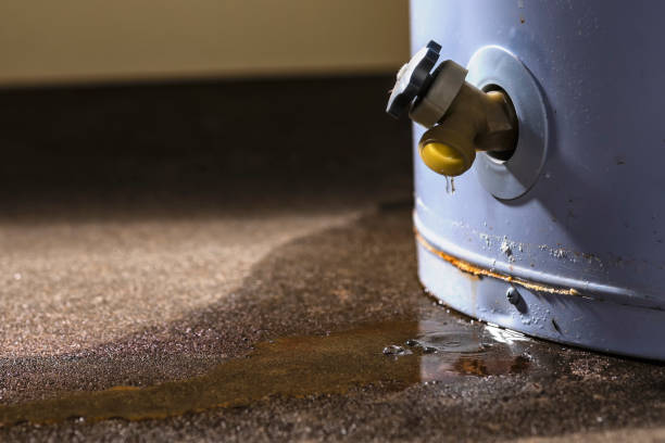 Best Flood restoration services  in Boone, IA
