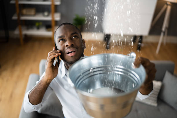 Best Basement water damage restoration  in Boone, IA