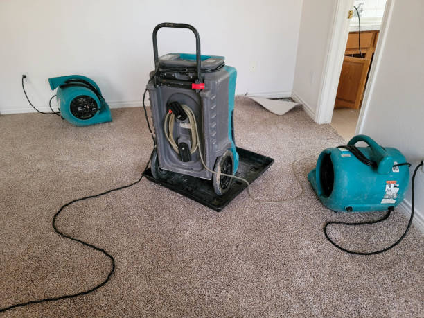 Best Sewage cleanup and water damage restoration  in Boone, IA