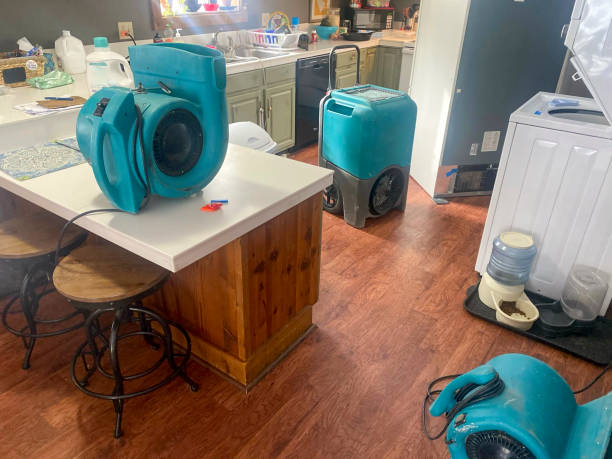 Best Water damage restoration near me  in Boone, IA