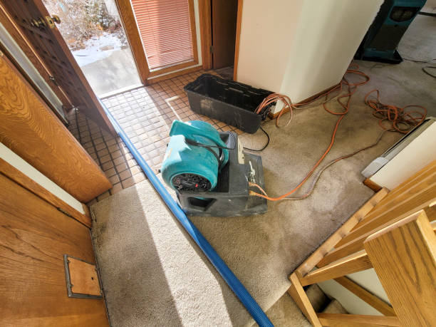 Best Ceiling water damage repair  in Boone, IA