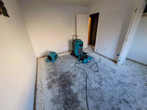 Best Carpet water damage restoration  in Boone, IA
