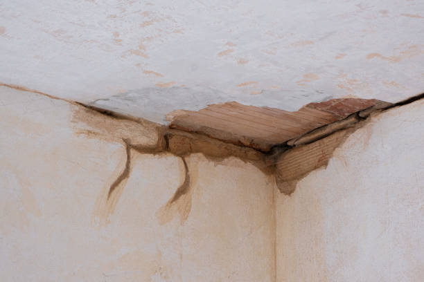 Best Ceiling water damage repair  in Boone, IA
