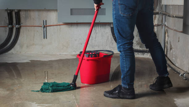 Best Emergency water damage restoration  in Boone, IA