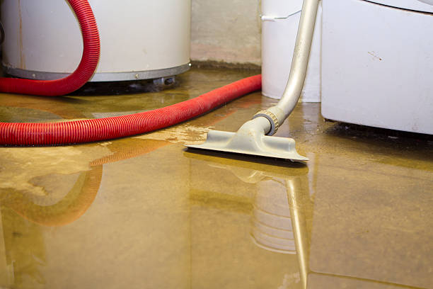Best Mold removal after water damage  in Boone, IA