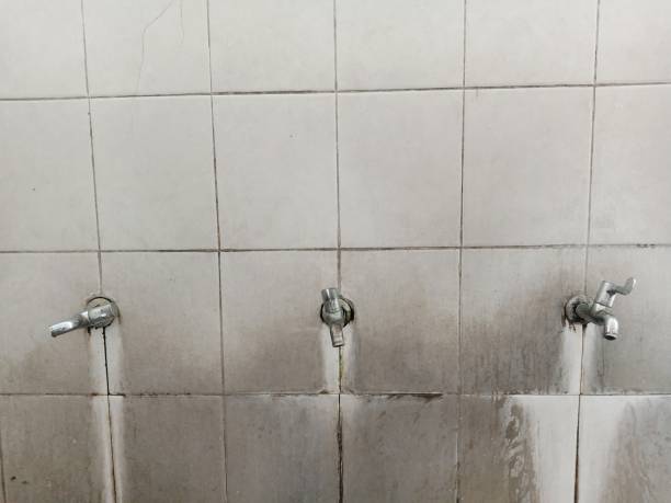 Best Commercial water damage restoration  in Boone, IA