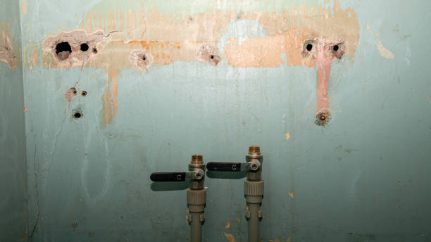 Best 24-hour water damage restoration  in Boone, IA