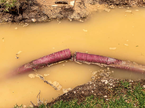 Best 24/7 water damage repair  in Boone, IA